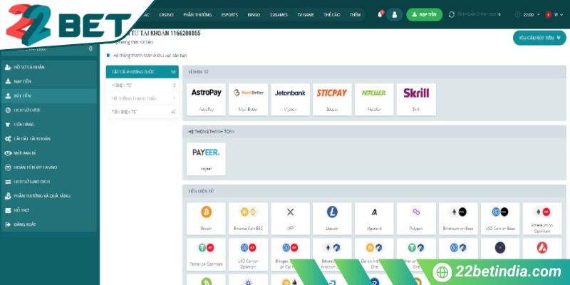 Các cách rút tiền từ 22Bet đang được áp dụng hiện nay