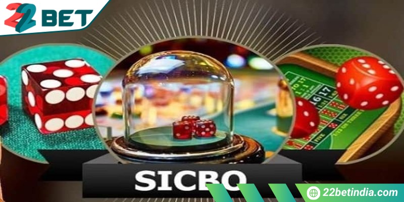 Bạn cân nhắc cửa ăn theo cầu đã soi trong lịch sử cược trước đó
